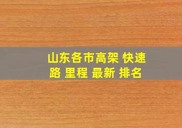 山东各市高架 快速路 里程 最新 排名